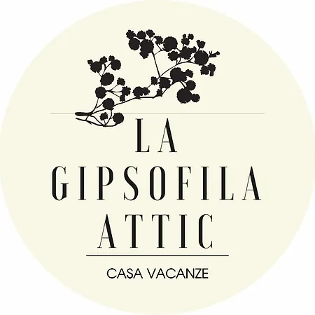 La Gipsofila Attic * Osimo